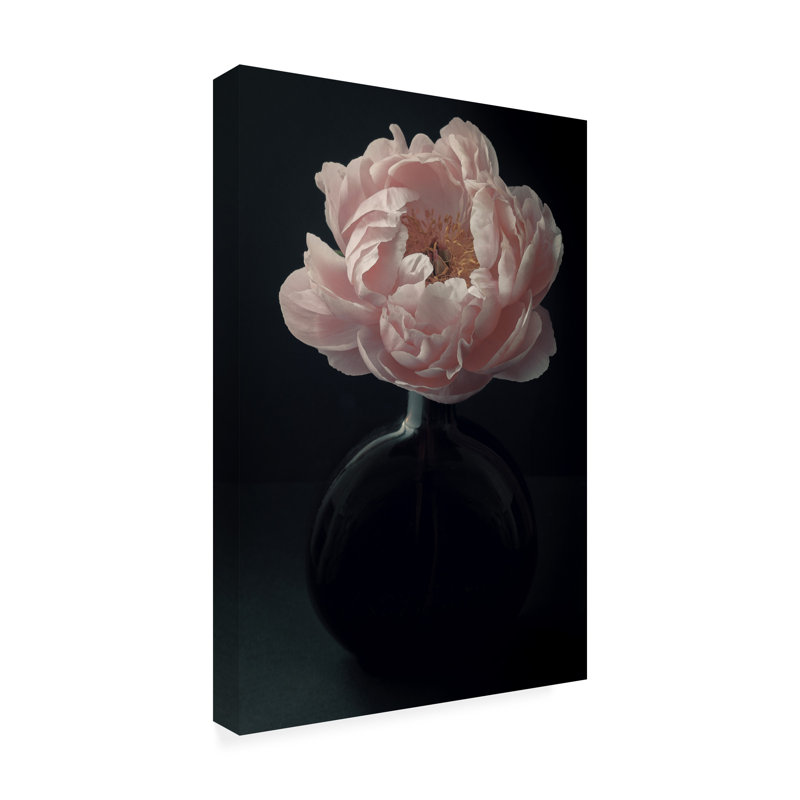 «Coral Peony Flower Still Life» par Alyson Fennell - impression sur toile tendue, H 32 po x l 22 po x P 2 po