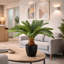 70 cm H Faux Palm Plant in Plastic Pot Liner