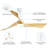 51.96'' Ceiling Fan with Light Kit-88521725