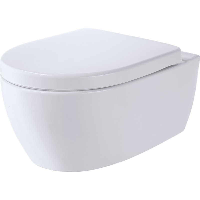 Wall Hung Toilet with soft close seat