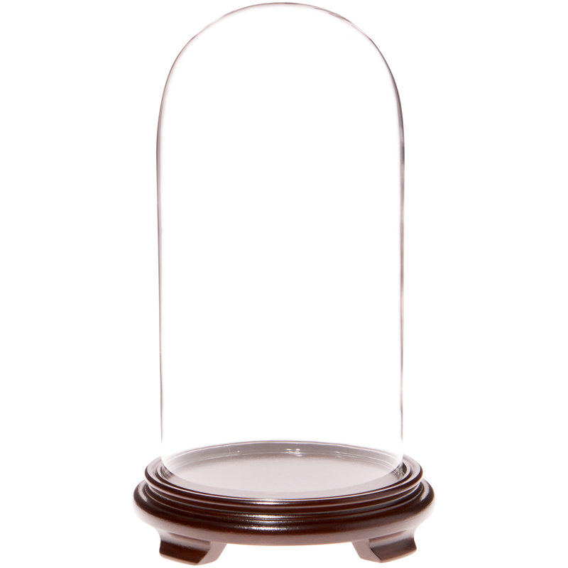 Cloche à dôme en verre 5,5 "x 11" Keiarra, Base en placage de bois de noyer