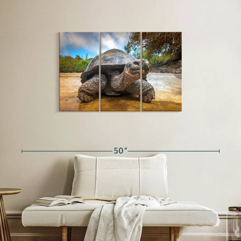 Galapagos Beach Tortoise, 24" H x 38" W