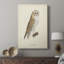 French Owls VI - Galerie Cavas sur mesure-1971386188
