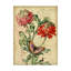 «French Florals 3» par Deagen, impression sur toile tendue-30355999