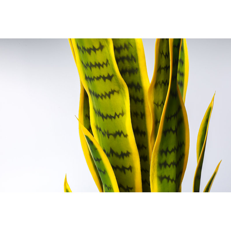 75 cm H Faux Plant in Plastic