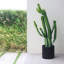 Ceramic Planter