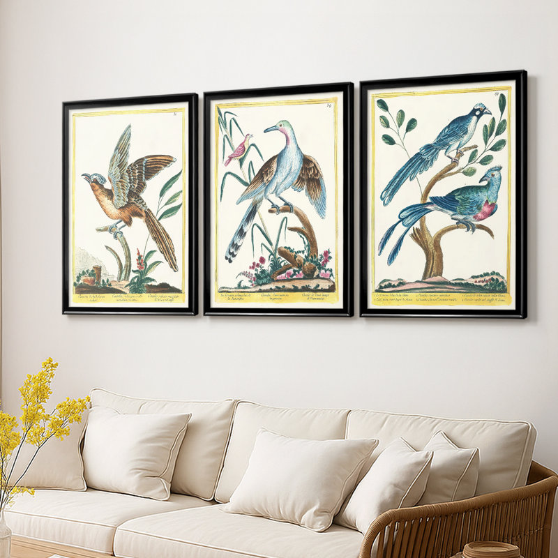 «Pastel Birds IV» - Toile tendue avec châssis sur mesure - 3 pièces, H 15 po x l 19 po, Noir
