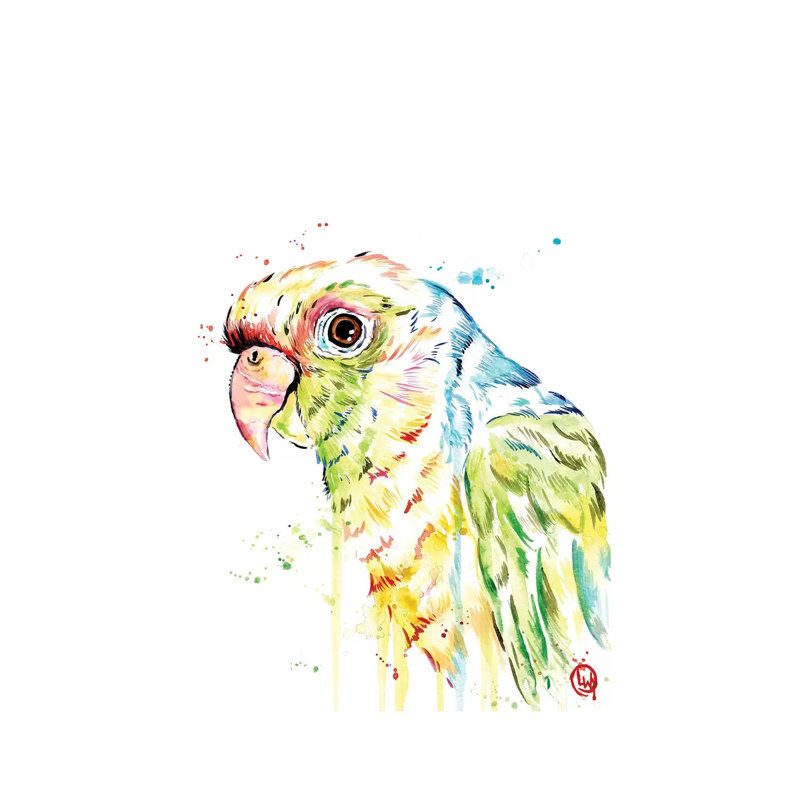 Parrot by Lisa Whitehouse - Wrapped Canvas Painting, 30.48 cm H x 45.72 cm W
