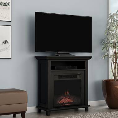 Canora Grey Aviel 23.62'' W Electric Stove