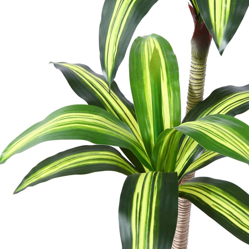 Arbre Dracaena artificiel d'intérieur 6 pi