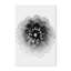 X-Ray Print by Alex Zhao-131292244-131292245-131292246