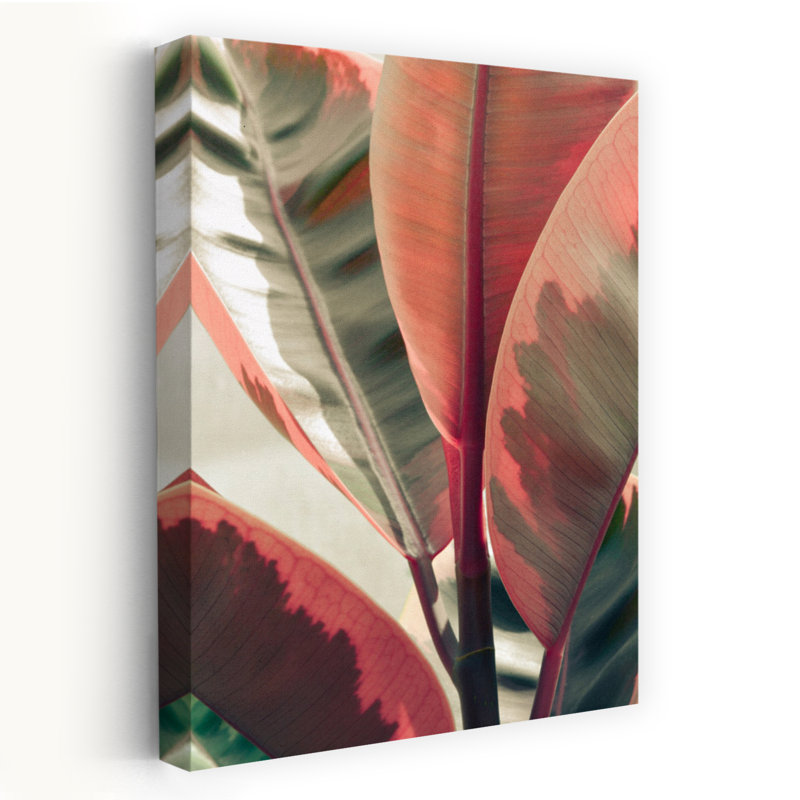 Art floral et botanique contemporain Peachy, photographie de nature, art tropical, H 24 po x l 16 po