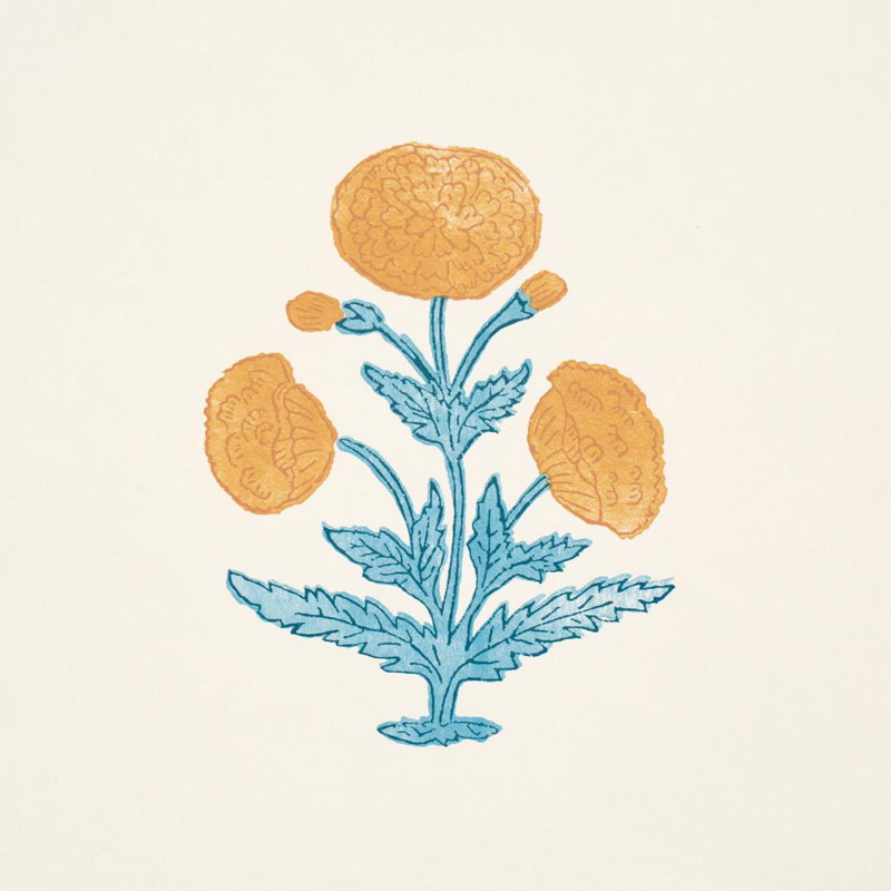 Papier peint Schumacher X Molly Mahon Poppy, Rose