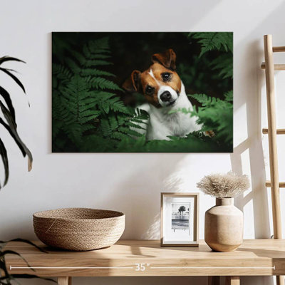 Brampt Adorable Terrier