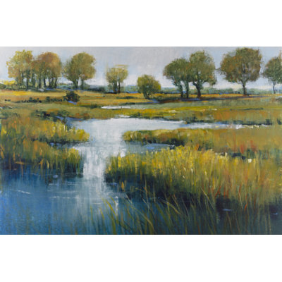 Marshland View III by Timothy O' Toole - Wrapped Canvas Painting