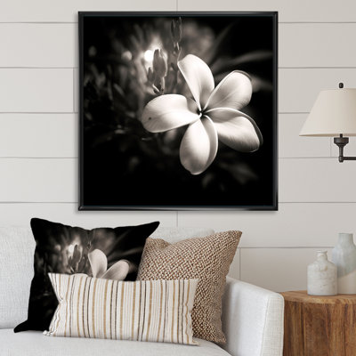 Spectrum Wild Moonlight Plumeria Beauty sur toile