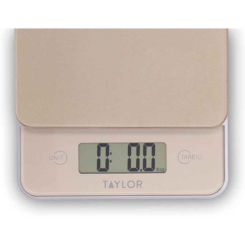 Taylor Digital Scale