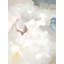 White On Gray Print by Sara Brown-25780003-25780001