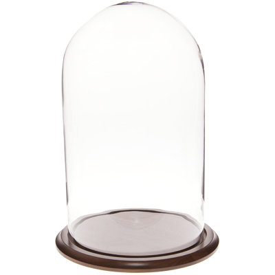 Vucciria 11.75" x 20" Glass Display Dome Cloche