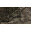 Rapture Beige Gray Stripes Luxury Area Rug-68861328