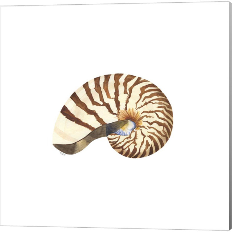 «Oceanum Shells White» par Tara Reed, art sur toile (ensemble de 4)