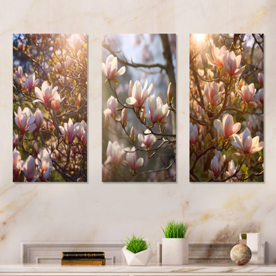Pink Magnolias Tree Field Bliss Photo - Magnolias Metal Art Print Set Of 3