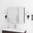 30" Rectangular Medicine Cabinet With Mirror