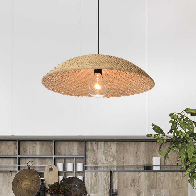 Luminaire suspendu noir à 1 lumière Ates