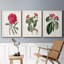 Ensemble de 3 peintures sur toile Roseat Blooms IV-1642987165-1642987162