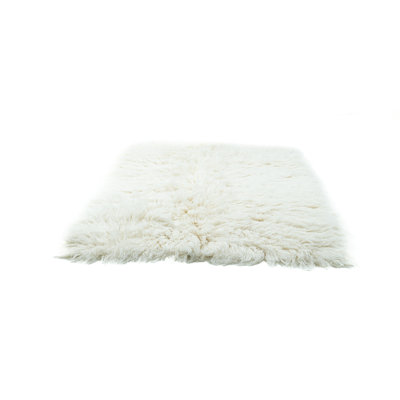 Barnegat Hand Woven Wool Indoor Rug