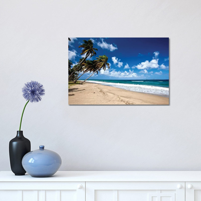 Palm Trees Along The Beach, Grenada, Caribbean - Wrapped Canvas Print, 30.48 cm H x 45.72 cm W