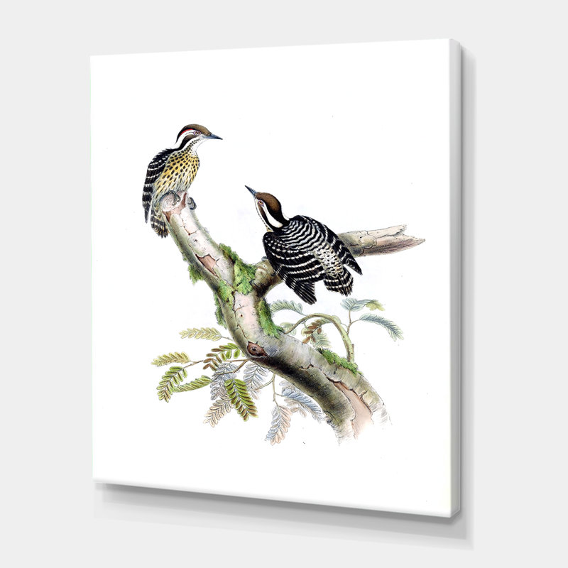 «Vintage Birds in the Wild» - impression sur toile, H 20 po x l 12 po x p 1 po, Toile tendue