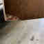 Customer photo 4 of 10