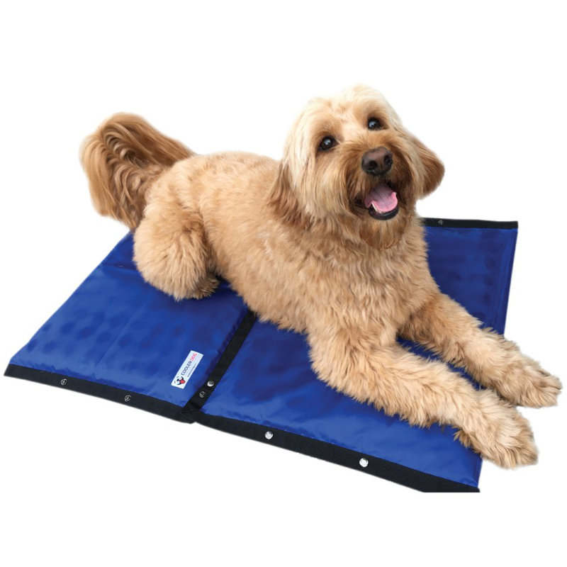 Small Blue Chew Resistant Outdoor Cooling Mat