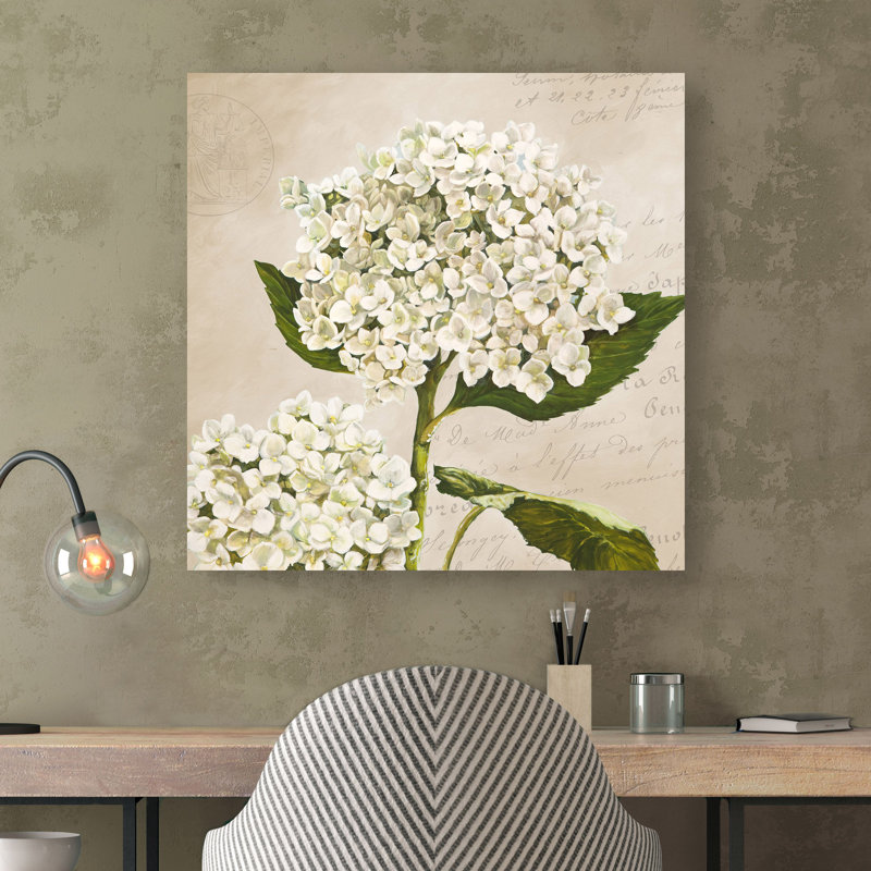 Hydrangeas II (Neutre) by Remy Dellal - Wrapped Canvas Print, 70cm H x 70cm W x 4cm D