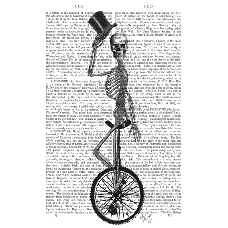 «Skeleton On Unicycle» par Fab Funky - impression sur toile tendue, H 12 po x l 8 po