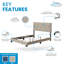 Lit plateforme tapissier Savona-1980006986-1898192935