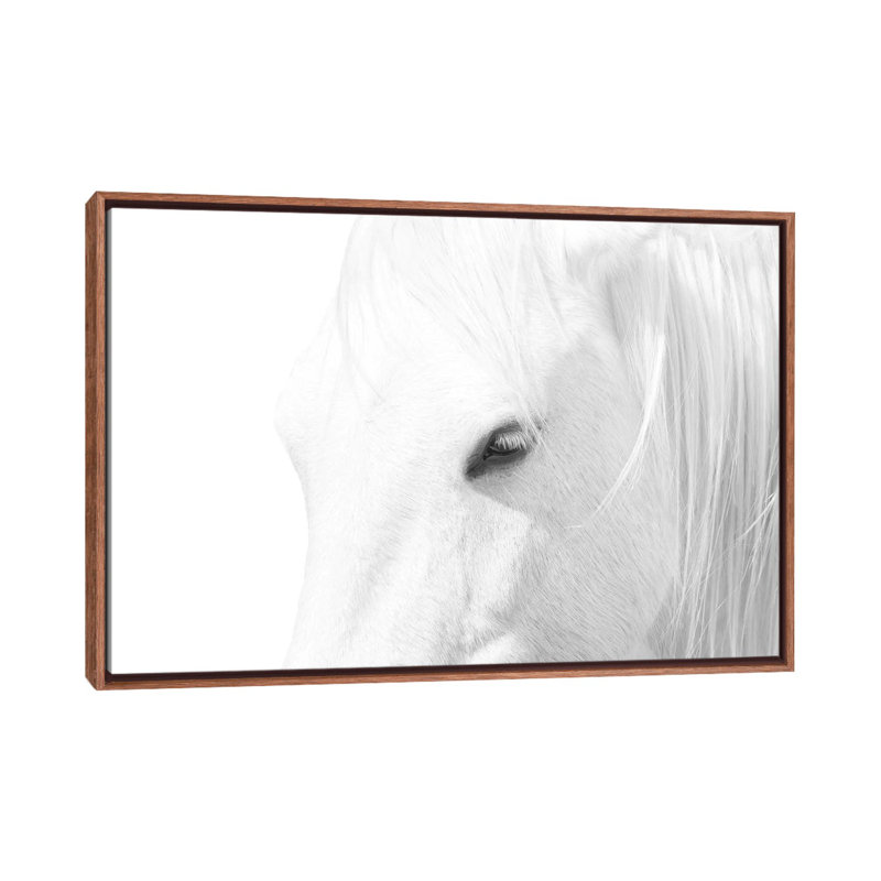 « Cheval blanc » par Marco Carmassi-impression d’art graphique, Pas de tapis, H 40 po x l 60 po x 1,5 po