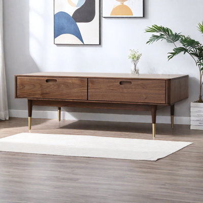 Table basse moderne et simple