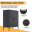 Armoire de rangement à 2 tablettes de 31,5 po Janay-88314935