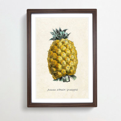 Illustration of a Pineapple - Framed Print