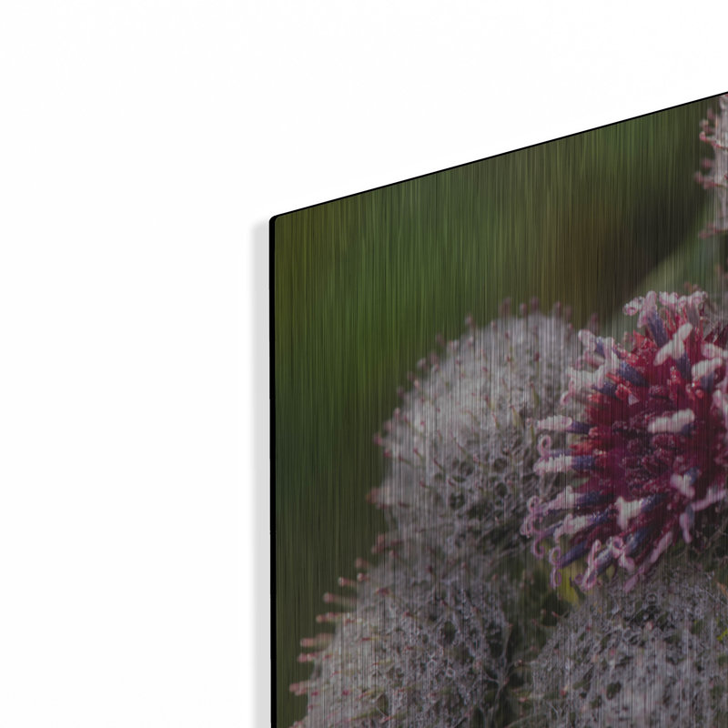 «Autumn 09» par Gordon Semmens, H 12 po x l 16 po 
