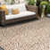Seraphine Indoor / Outdoor Rug