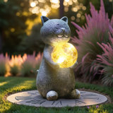 Cat With Solar Ball