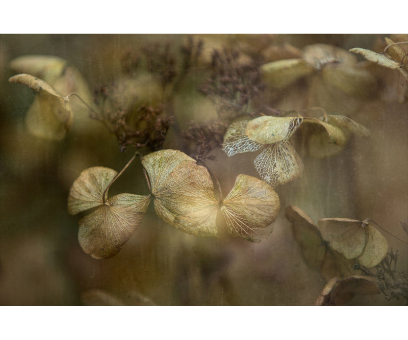 Wrapped Canvas Print, 60.96 cm H x 91.44 cm W