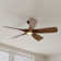 60'' Ceiling Fan with LED Lights