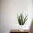 Handmade Pot Planter-1539862182-1539862183