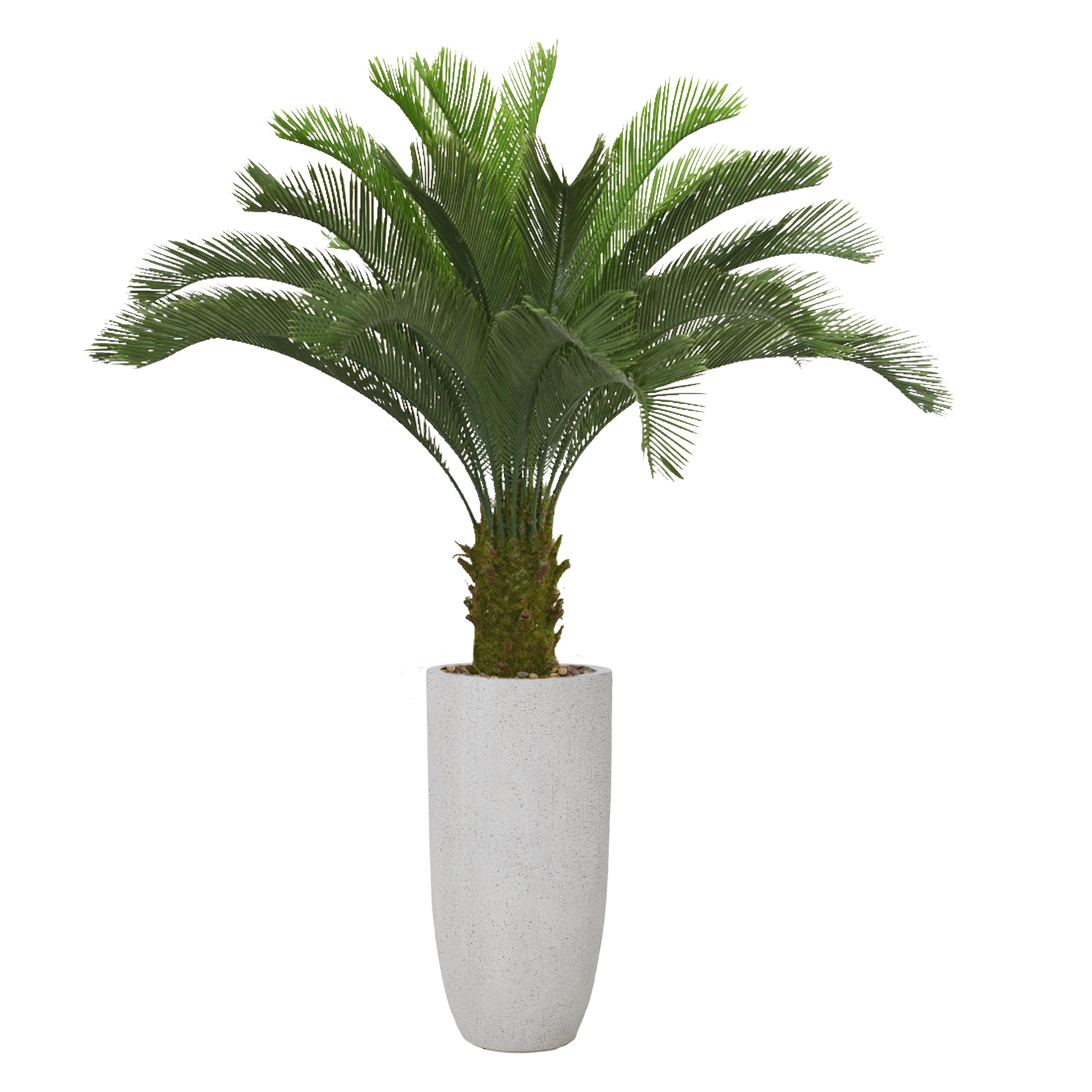 Primrue 62.3'' Artificial Palm Tree In A Tall Beige Fiberstone Planter ...