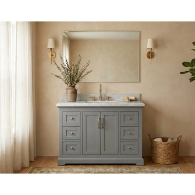 Mareo 48" Solid Wood Single Bathroom Vanity with Cabinet Storage, Mirror Not Included