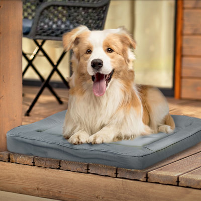 Tapis de voyage pour chat et chien Brunelle